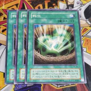 専用 孵化 N 2期 セット 遊戯王 虎ふぐ