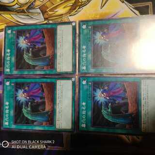 墓穴の指名者 N 4枚セット