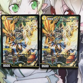 神聖龍 エモーショナル・ハードコア2枚セット