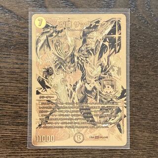 煌龍 サッヴァーク MDG