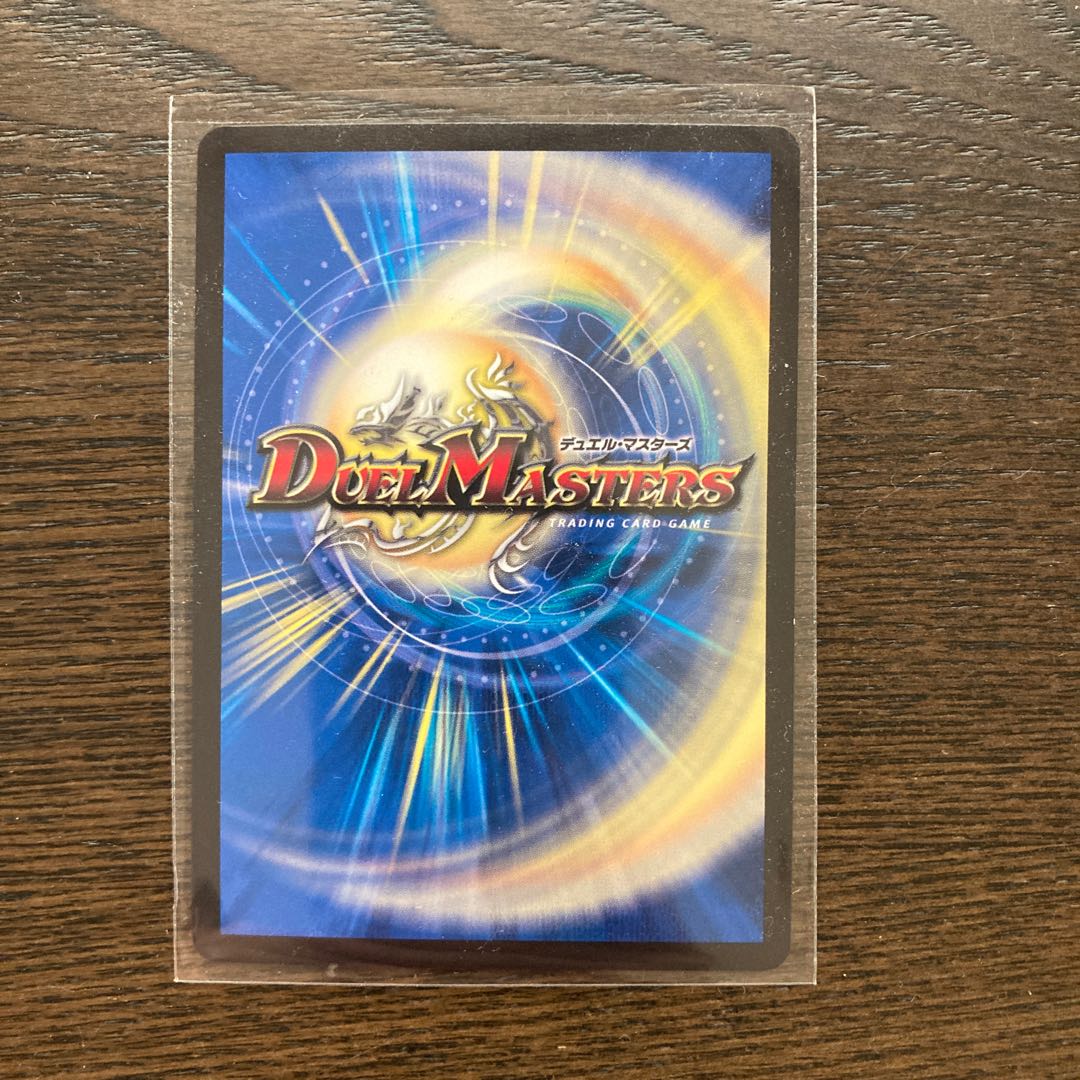 煌龍 サッヴァーク MDG