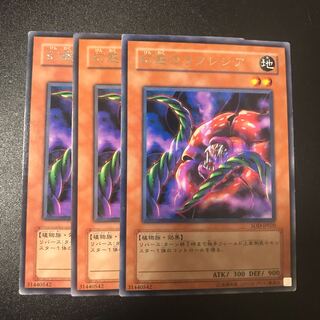 幻惑のラフレシア R