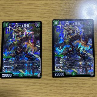 ブラキオ龍樹(おまけ付き)