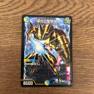 「雷光の聖騎士」