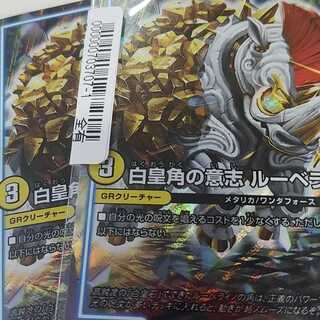 白皇角の意思 ルーベライノ