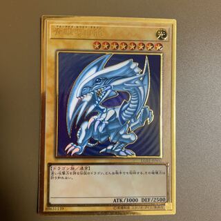 青眼の白龍 PGR プレミアムゴールドレア