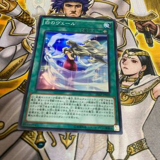 ◉白のヴェール P-SR