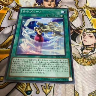 白のヴェール P-SR