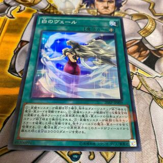 ◉白のヴェール P-SR