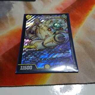 「絶対の楯騎士」