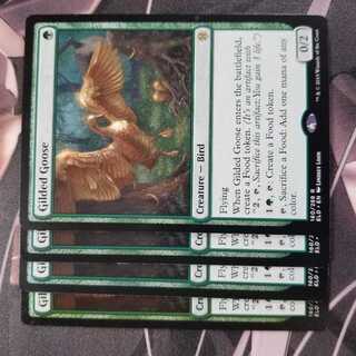 金のガチョウ 4枚