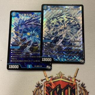 水上第九院 シャコガイル