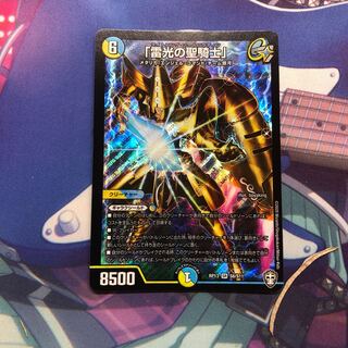 「雷光の聖騎士」