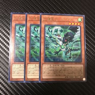 守護竜アンドレイク R