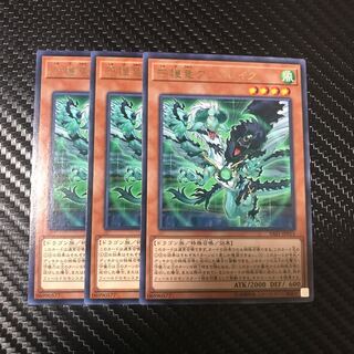 守護竜アンドレイク R