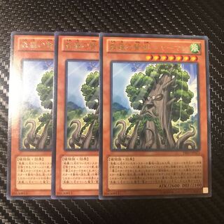 森羅の賢樹 シャーマン R