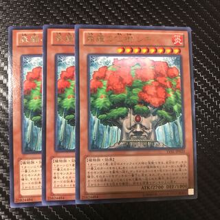 森羅の仙樹 レギア R