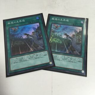 魅惑の未界域 スーパー ２枚