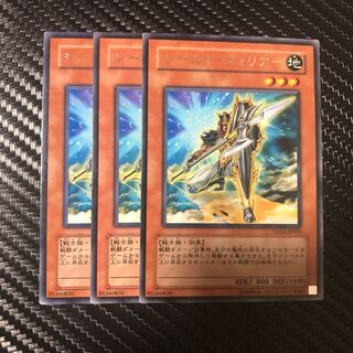 シールド・ウォリアー R