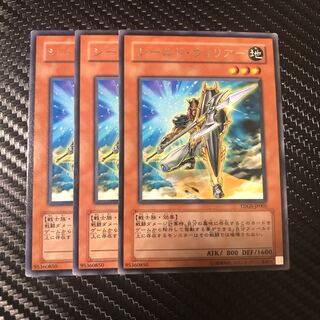 シールド・ウォリアー R