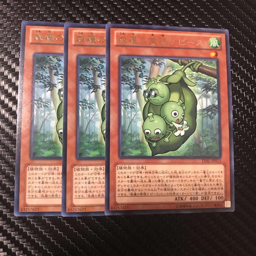 森羅の実張り ピース R