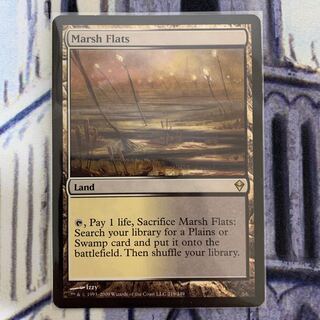 湿地の干潟　英語