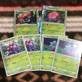 KOUKI様専用 ラフレシア