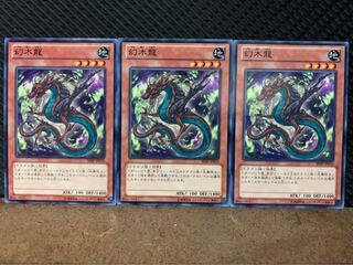 【ぽぽたん】遊戯王 5782 幻木龍 3枚 ノーマル