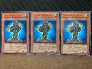 【ぽぽたん】遊戯王 10110 コピー・プラント 3枚 ノーマル