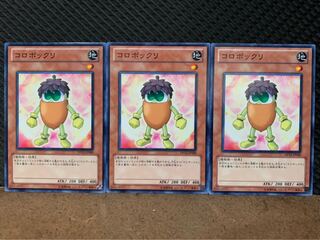 【ぽぽたん】遊戯王 10113 コロボックリ 3枚 ノーマル