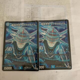 最高学府インテリエイル2枚セット 2枚