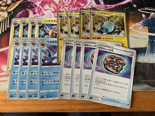 めずらしい化石セット