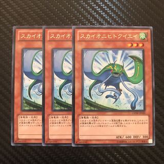 スカイオニヒトクイエイ R 1枚