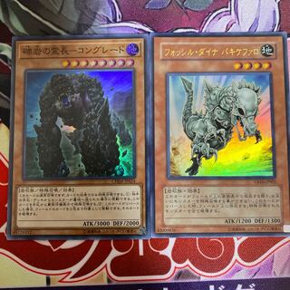 礫岩の霊長-コングレード SE +α