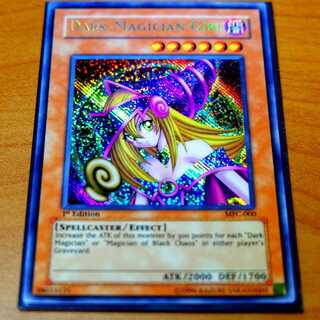 やまだるま様専用