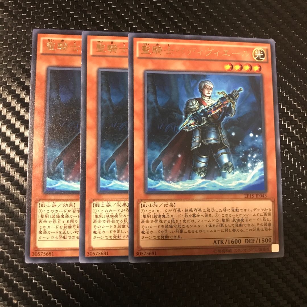 聖騎士ベディヴィエール R