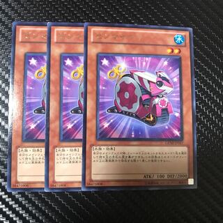 ゼンマイマイ R