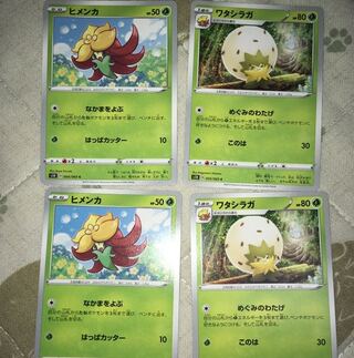 ワタシラガ進化ライン