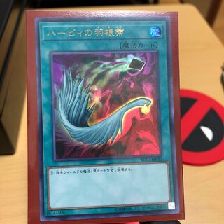 ハーピィの羽根帚 UR