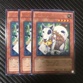 チェーンドッグ R