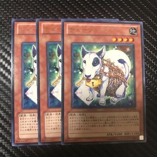 チェーンドッグ R