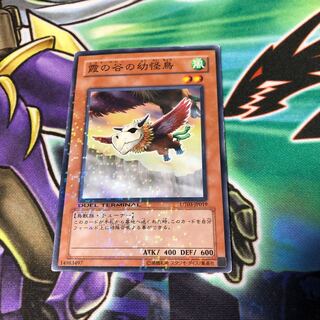 霞の谷の幼怪鳥