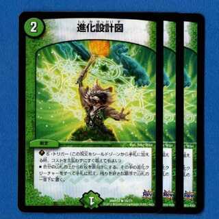 進化設計図　3枚