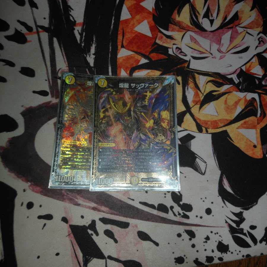 煌龍 サッヴァーク2枚セット