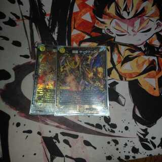 煌龍 サッヴァーク2枚セット