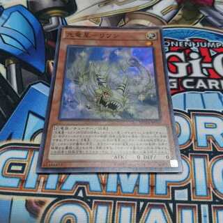 光竜星ーリフン スーパー