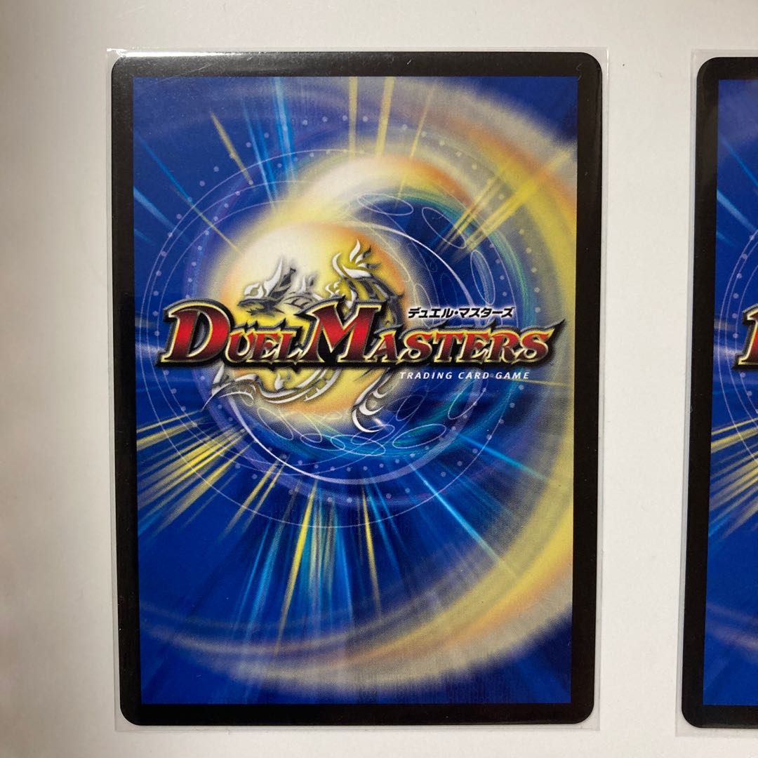 ステゴロ・カイザー確認用