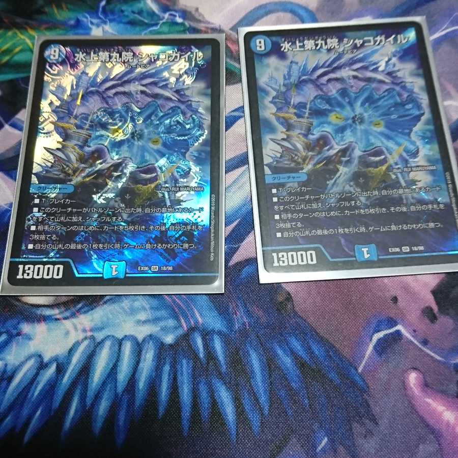 水上第九院 シャコガイル