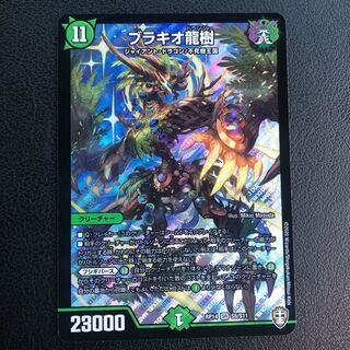 ブラキオ龍樹 SR