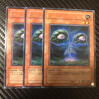 ダーク・ヴァージャー R